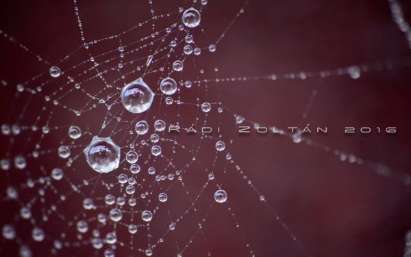 Untitled_Panorama2ph2